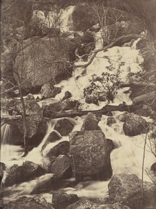 [Alberi e cascate], 1860-65 da Charles Nègre