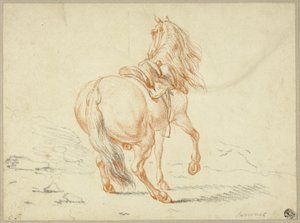Cavallo senza cavaliere