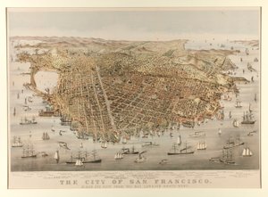 La città di San Francisco - Uccello da Charles Parsons