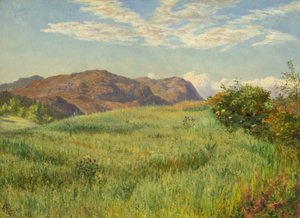 Un campo d