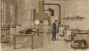Cani in gabbia nel laboratorio di Louis Pasteur