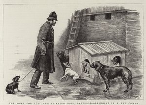 La casa per cani persi e affamati, Battersea, accogliendo un nuovo arrivato