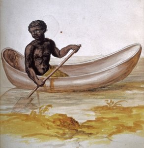 Giovane negro in una canoa nei Caraibi, c.1686 (acquerello) da Charles Plumier