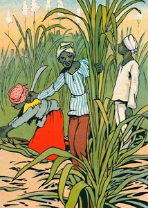 Al Lavoro tra le Canne da Zucchero, 1912