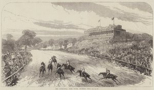 Le corse di Alexandra Park, Muswell Hill da Sir John Charles Robinson