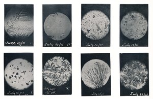 Cristalli di ghiaccio nella crepa