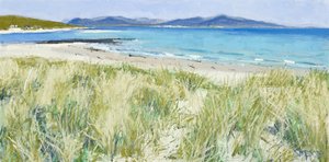 Erbe della spiaggia, Berneray, 2011 (olio su tela) da Charles Simpson