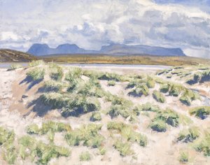 Dune, Achnahaird, 2017 (olio su tela)