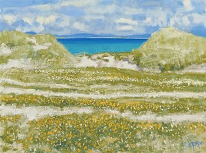 Scorcio di Harris, 2014 (olio su tela) da Charles Simpson