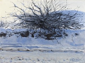 Biancospino, 2011 (olio su tela) da Charles Simpson