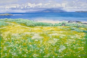 Machair, North End Iona, 2015 (olio su tela) da Charles Simpson