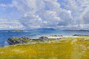 North Shore, Iona, 2015 (olio su tela)