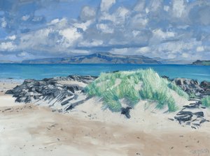 Rocce ed erbe, Iona, 2013 (olio su tela) da Charles Simpson