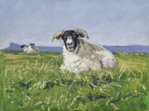Pecora della costa occidentale, 2017 (olio su tela)