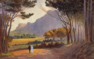 Penisola del Capo, Sudafrica: Alphen da Charles Stephen Meacham