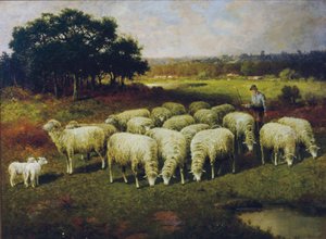Un pastore con le sue pecore nel campo, 1898 da Charles T. Phelan