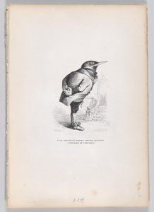 Vecchio, rotto, esausto, bizzarro, ma buono, ma dedicato e domestico per temperamento, ca. 1837-47 da Charles Tamisier