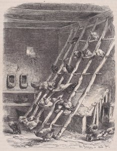 Visita a una fattoria - Il pollaio, da Le Magasin Pittoresque, ca. 1852 da Charles Tamisier
