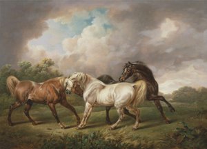 Tre cavalli in un paesaggio tempestoso da Charles Towne