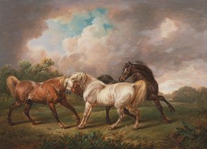 Tre cavalli in un paesaggio tempestoso da Charles Towne