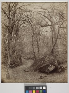 Fontainebleau, c.1870