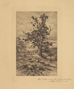 Paesaggio con pecore