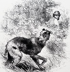 Un bracconiere con il suo levriero da Charles Whymper