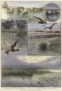 Caccia alle anatre a Long Point Island da Charles Whymper
