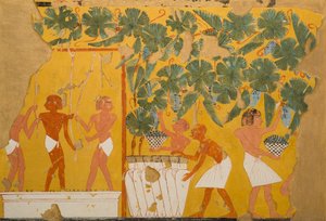 Vinificazione, Tomba di Ipuy da Charles Wilkinson