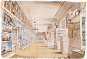 La Sala Lunga, Interno della Sala Anteriore nel Museo Peale, 1822 da Charles Willson Peale