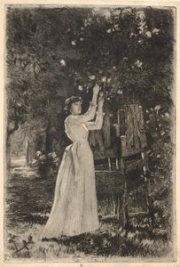 Una Giovane Donna che Raccoglie Fiori da un Albero
