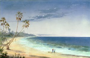 Paesaggio cubano