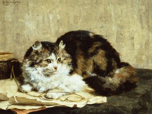 Un gatto tigrato da Charles van den Eycken