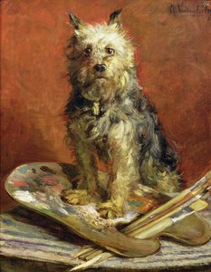 Il cane dell