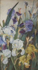 Iris, 1882 da Charlotte Hodder
