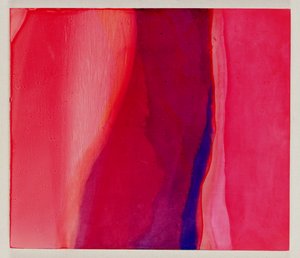 Pesce Sari, 2000 da Charlotte Johnstone