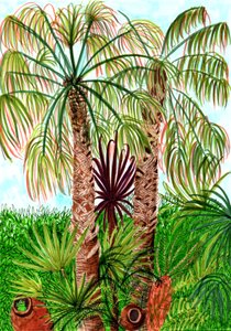 Palme di Barcellona da Charlotte Orr