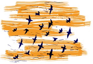 Uccelli in volo