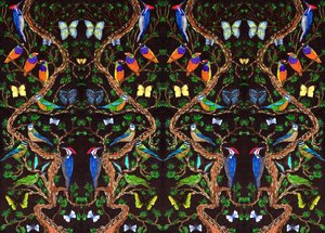 Uccelli e farfalle, 2019 da Charlotte Orr