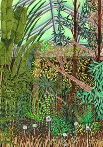 Giardino Botanico, 2017