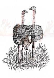 Fenicotteri, 2018 da Charlotte Orr