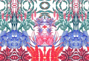 Jungle Jim, 2015 da Charlotte Orr