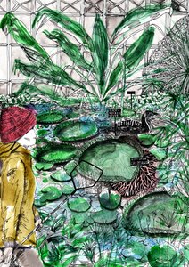 Giardino Botanico di Oxford, 2020