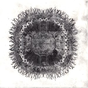Cellule Vegetali, 2019 da Charlotte Orr