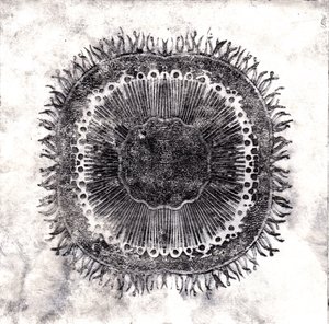 Cellule Vegetali, 2019 da Charlotte Orr