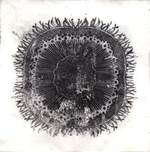 Cellule Vegetali, 2019 da Charlotte Orr