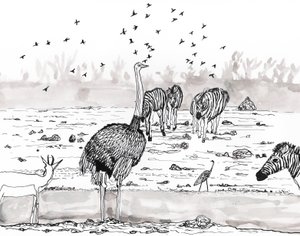 Safari 2, 2018 da Charlotte Orr