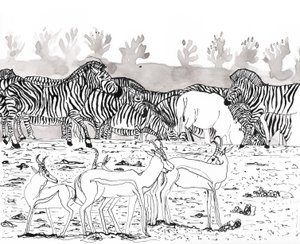 Safari 3, 2018 da Charlotte Orr