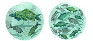 Pesce Piccolo Stagno Grande, 2018