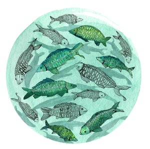 Pesce piccolo stagno grande, 2018